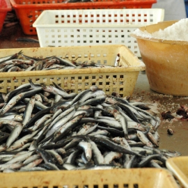 Lavorazione 2